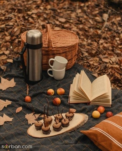 تم تولد پاییزی در طبیعت