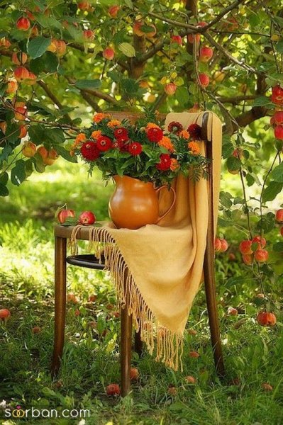 تم تولد پاییزی در طبیعت