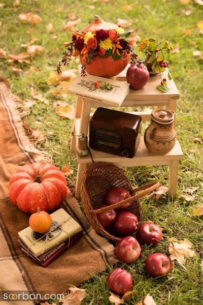 تم تولد پاییزی در طبیعت