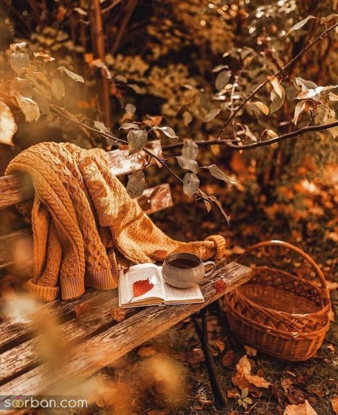 تم تولد پاییزی در طبیعت