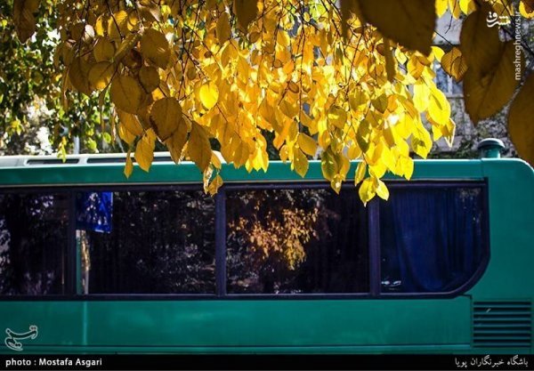عکس پاییزی تهران