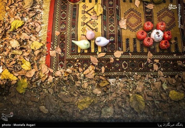 عکس پاییزی تهران