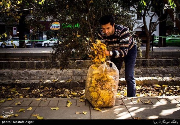عکس پاییزی تهران