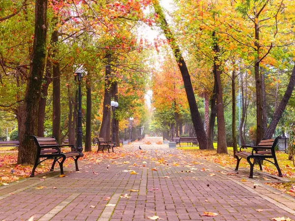 عکس پاییزی تهران