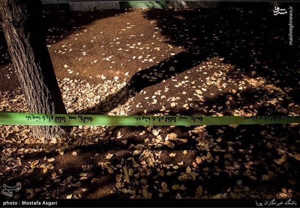 عکس پاییزی تهران