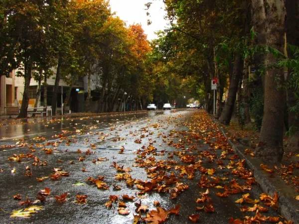 عکس پاییزی تهران