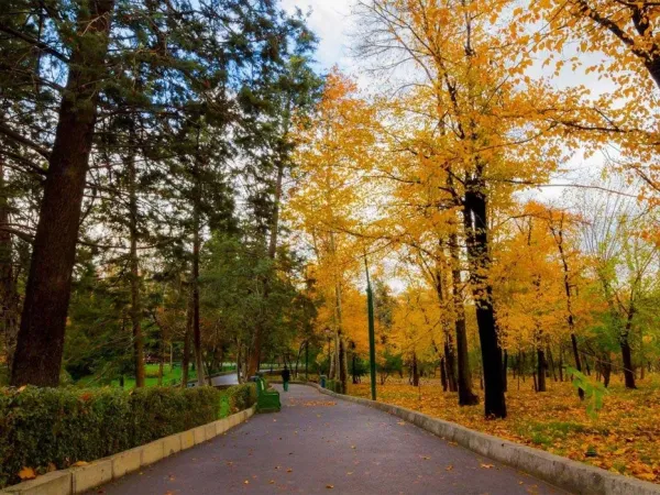 عکس پاییزی تهران