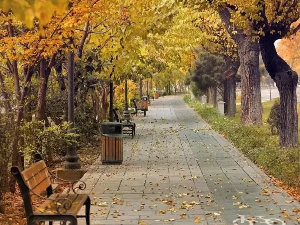 عکس پاییزی تهران