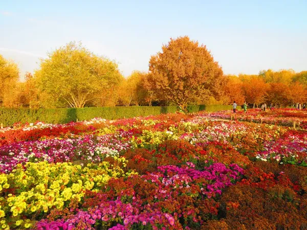عکس پاییزی تهران