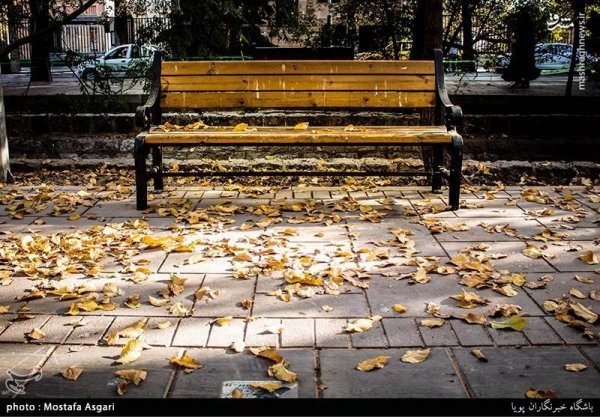 عکس پاییزی تهران