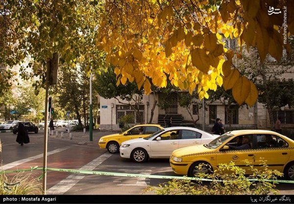 عکس پاییزی تهران