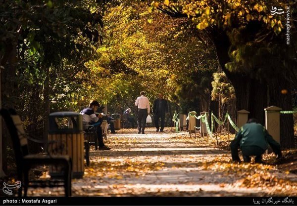 عکس پاییزی تهران