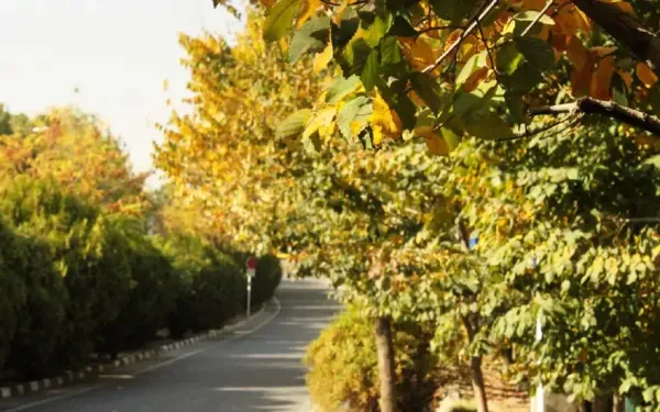 عکس پاییزی تهران