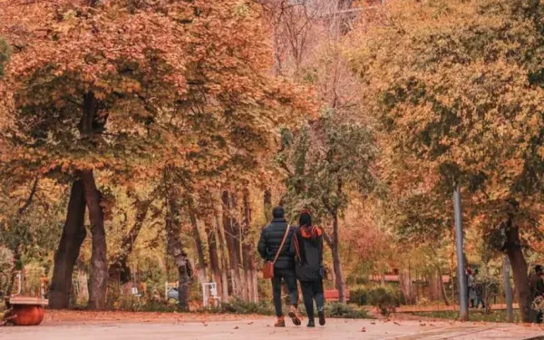 عکس پاییزی تهران