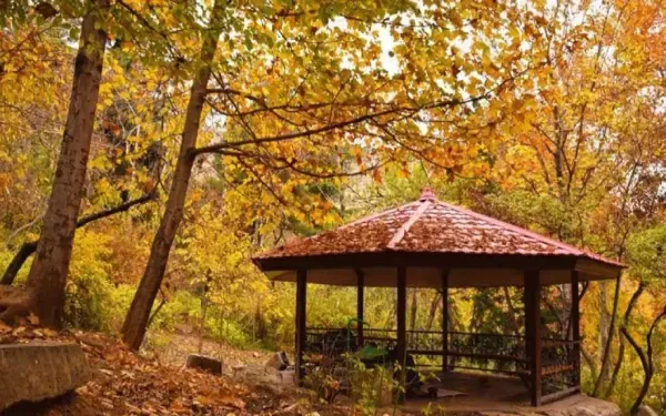 عکس پاییزی تهران