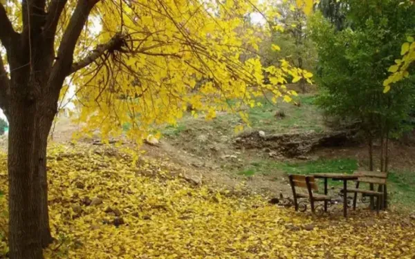 عکس پاییزی تهران