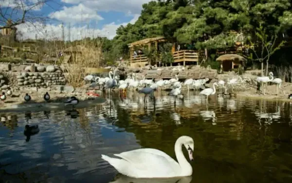 عکس پاییزی تهران
