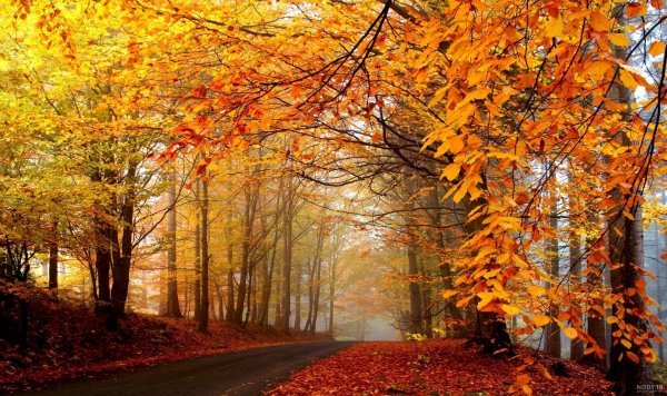 عکس پاییز تنهایی