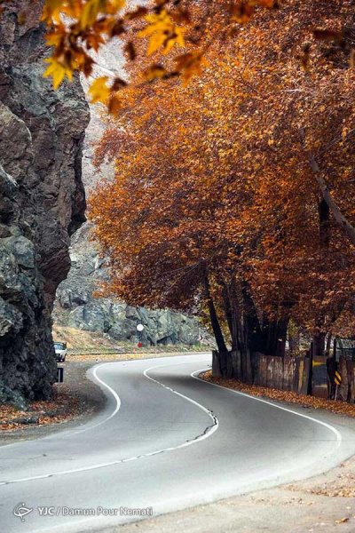 عکس پاییز جاده چالوس
