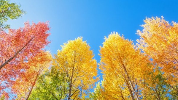 عکس پاییزی غمگین
