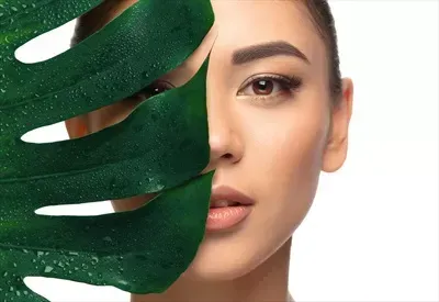 عکس انواع برگ ها برای کودکان