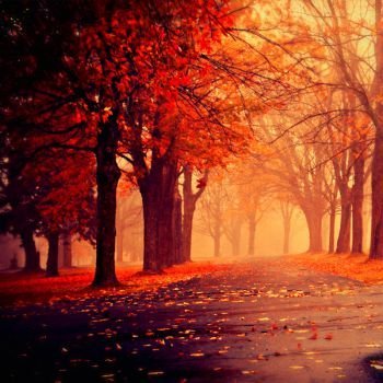 عکس پروفایل جدید امسال پاییز