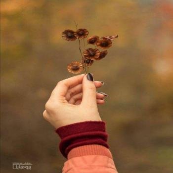 عکس پروفایل جدید امسال پاییز