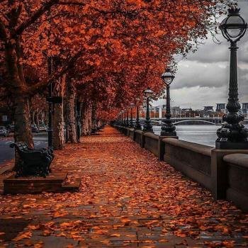 عکس پروفایل جدید امسال پاییز