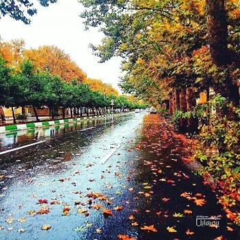 عکس پروفایل جدید امسال پاییز