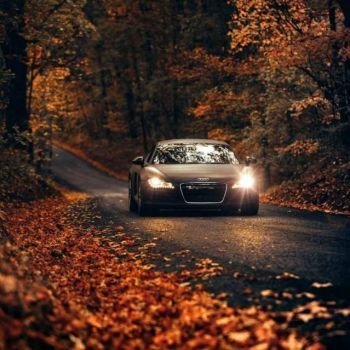 عکس پروفایل جدید امسال پاییز