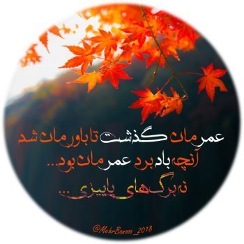 عکس پروفایل جدید امسال پاییز