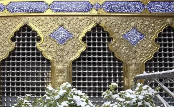 عکس حرم امام رضا امروز