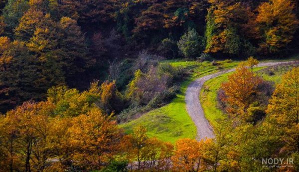  عکس گردنه حیران در پاییز