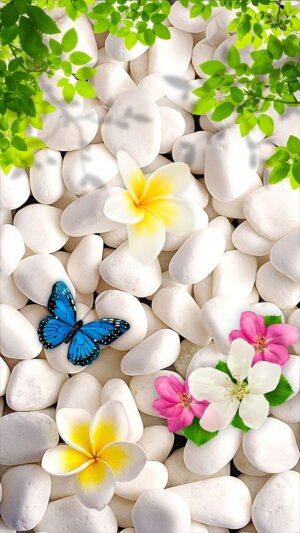 عکس لاکچری برای تصویر زمینه