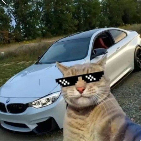 عکس لاکچری دختر