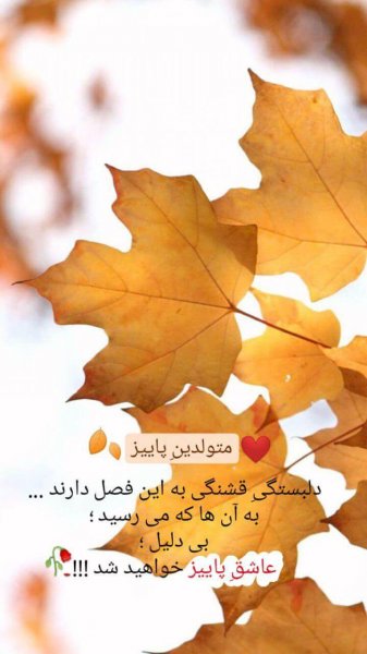 دانلود عکس های لاکچری برای استوری