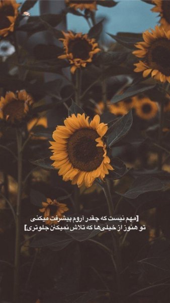دانلود عکس های لاکچری برای استوری