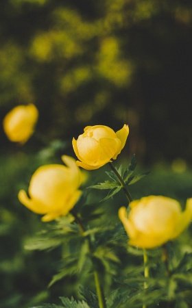  پس زمینه استوری ساده