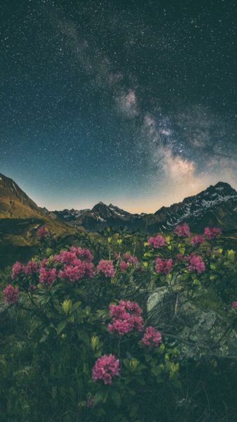 پس زمینه برای استوری