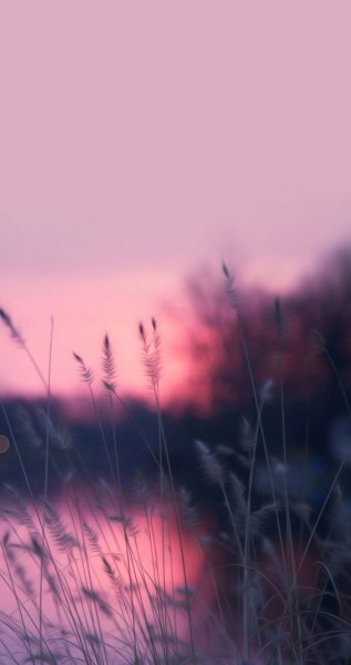 پس زمینه برای استوری