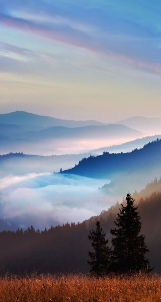پس زمینه برای استوری