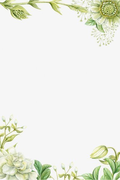  صفحه سفید ساده برای نوشتن