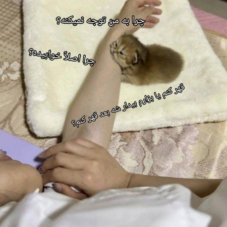 عکس گوگولی مگولی برای پروفایل