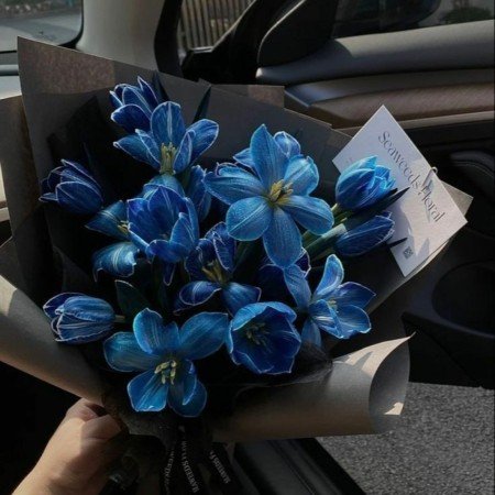عکس پروفایل آبی فیروزه ای