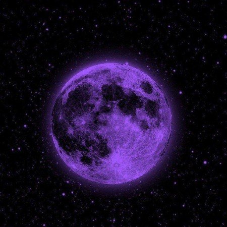 عکس بنفش ابی