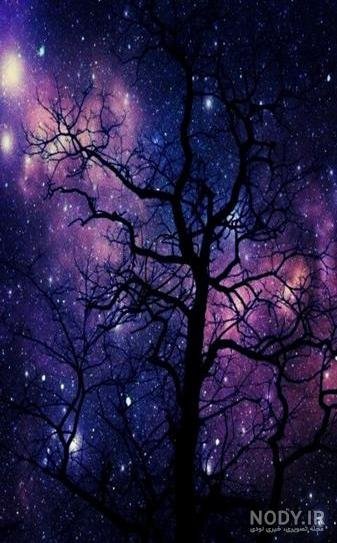 عکس بنفش ابی