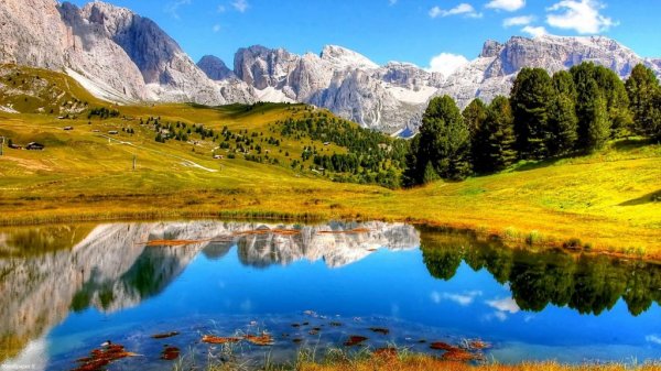 عکس دختر در طبیعت برای پروفایل