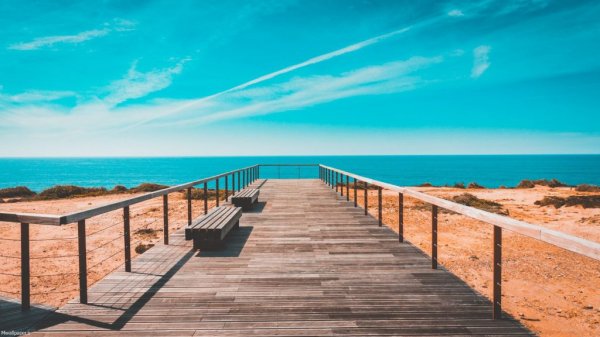 عکس دختر در طبیعت برای پروفایل