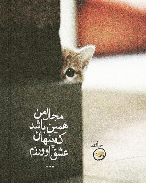 عکس برای استوری اینستاگرام