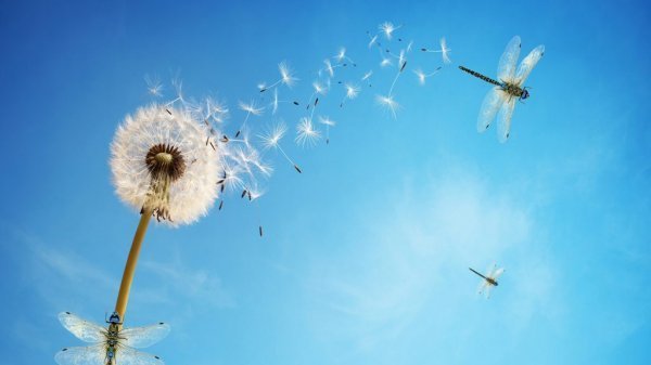 والپیپر سفید فانتزی
